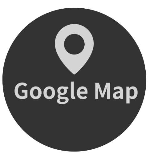 Google 地圖